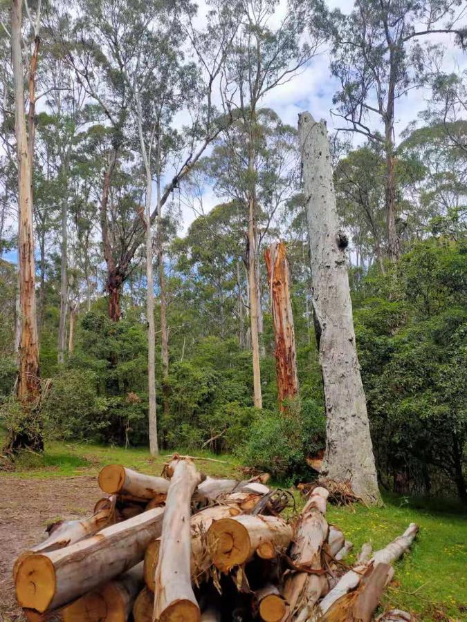 Lakes Entrance Log Cabins Bagian luar foto