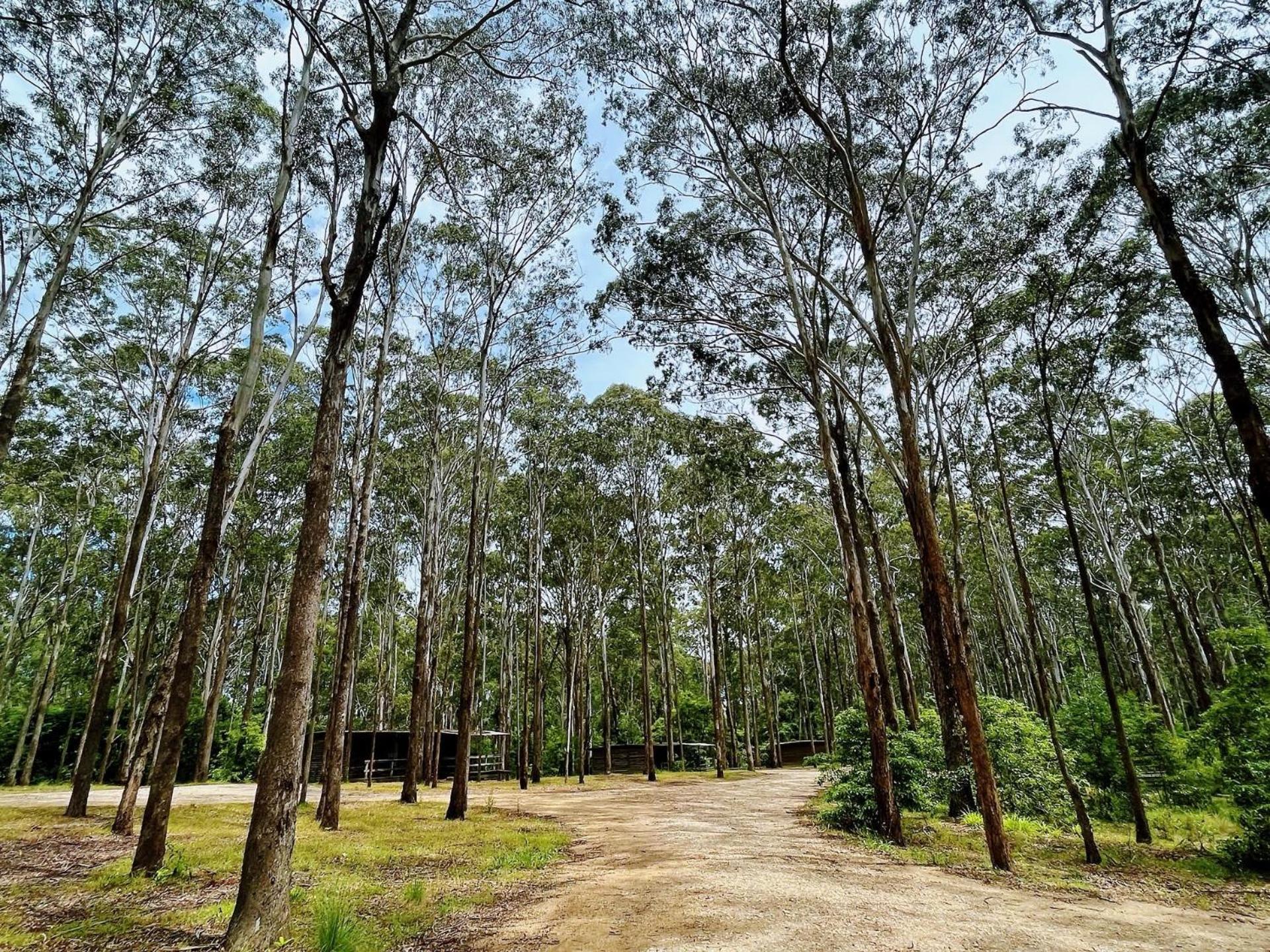 Lakes Entrance Log Cabins Bagian luar foto